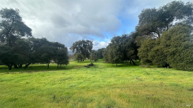 view of local wilderness featuring a rural view