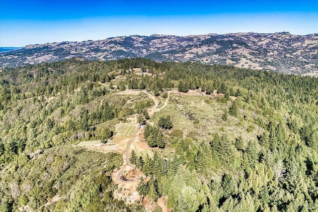 aerial view with a mountain view