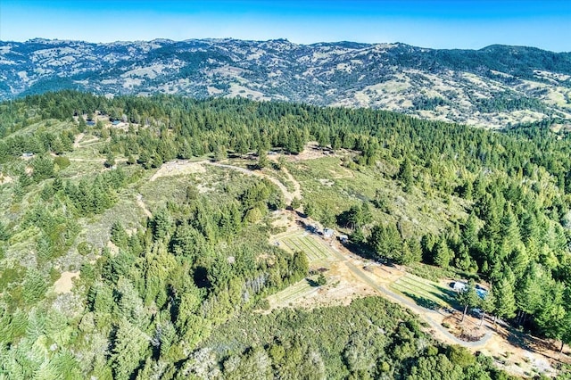 aerial view featuring a mountain view