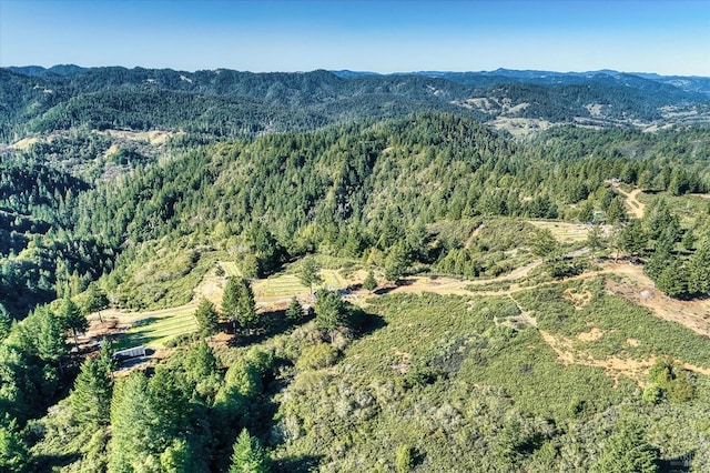 drone / aerial view featuring a mountain view