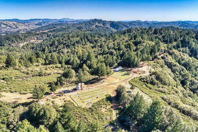 aerial view with a mountain view