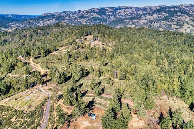 drone / aerial view with a mountain view