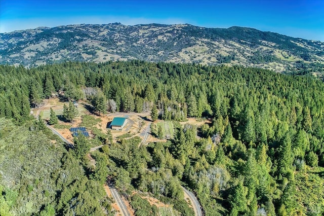 birds eye view of property featuring a mountain view