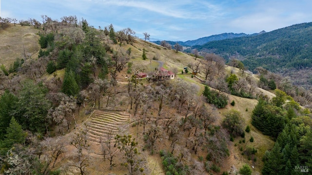 drone / aerial view with a mountain view