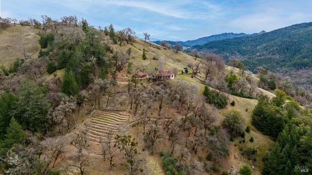 14950 Ridgeview Rd, Willits, CA 95490 - view of mountain background