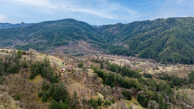 14950 Ridgeview Rd, Willits, CA 95490 - view of mountain backdrop