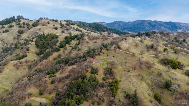 14950 Ridgeview Rd, Willits, CA 95490 - view of nature