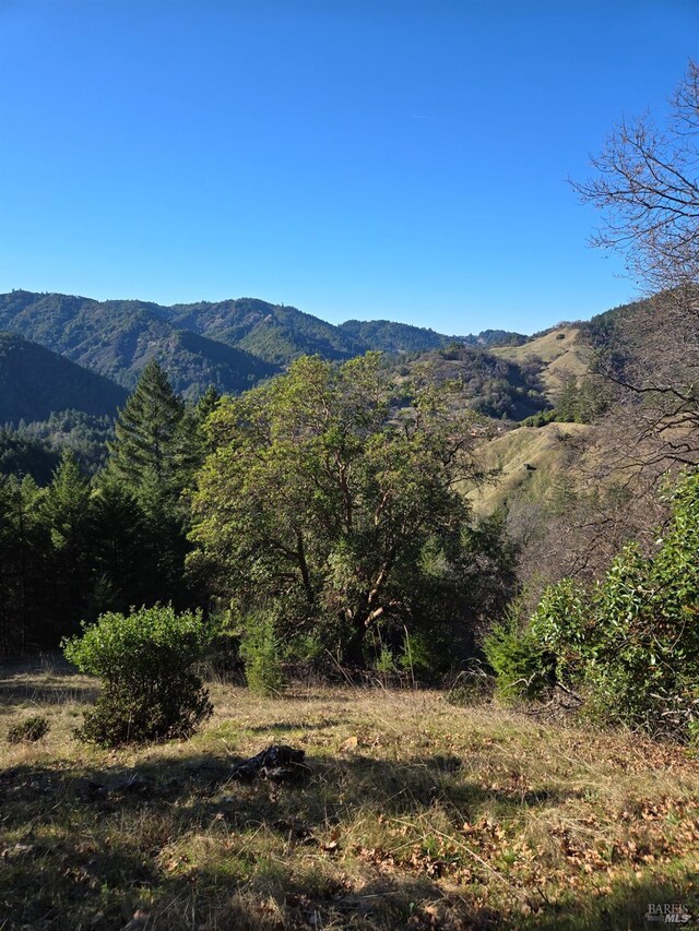 14950 Ridgeview Rd, Willits, CA 95490 - mountain view