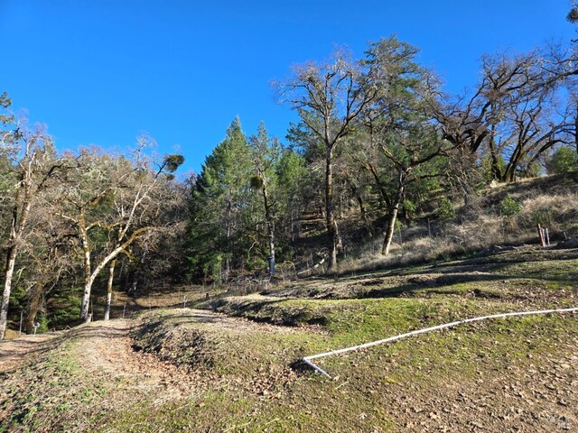 14950 Ridgeview Rd, Willits, CA 95490 - view of woods