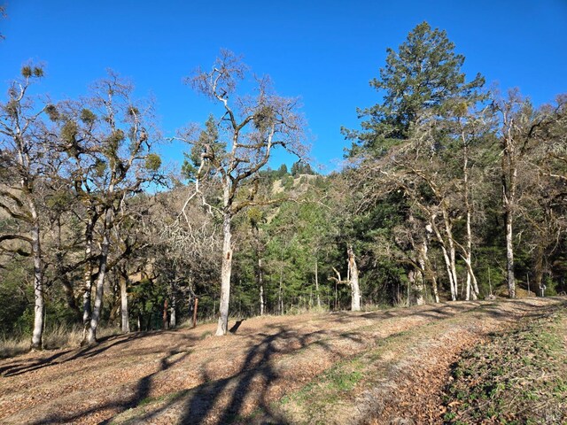 14950 Ridgeview Rd, Willits, CA 95490 - view of nature