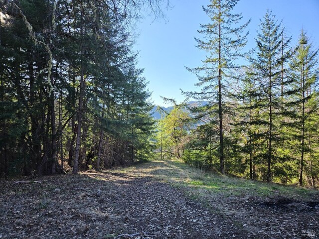 14950 Ridgeview Rd, Willits, CA 95490 - view of wooded area