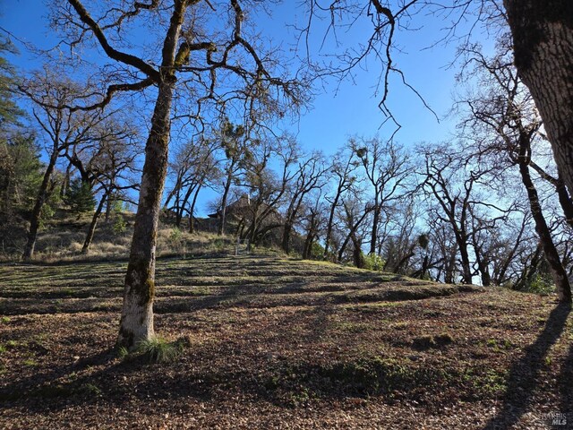 14950 Ridgeview Rd, Willits, CA 95490 - view of yard