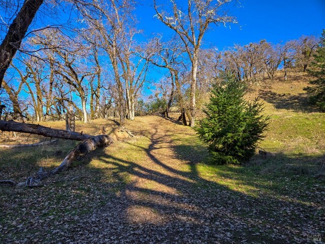 14950 Ridgeview Rd, Willits, CA 95490 - view of tree filled area