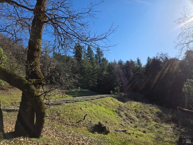 14950 Ridgeview Rd, Willits, CA 95490 - view of tree filled area