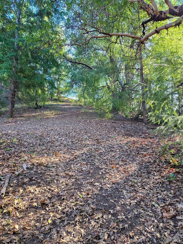 14950 Ridgeview Rd, Willits, CA 95490 - view of mountain background