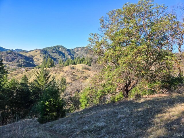 14950 Ridgeview Rd, Willits, CA 95490 - map / location