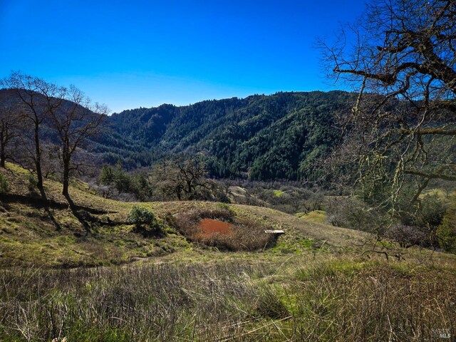 14950 Ridgeview Rd, Willits, CA 95490 - mountain view