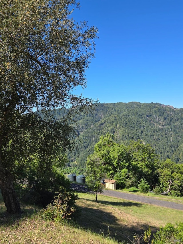 14950 Ridgeview Rd, Willits, CA 95490 - view of mountain background featuring a forest
