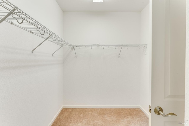spacious closet featuring light colored carpet