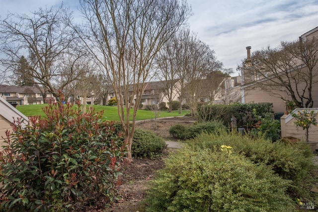 view of yard featuring a residential view