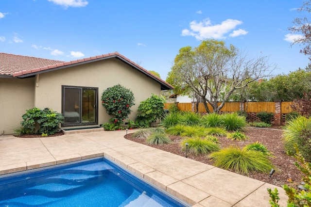 view of swimming pool with a patio area