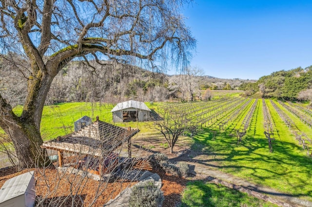 exterior space featuring an outdoor structure, a rural view, and a mountain view