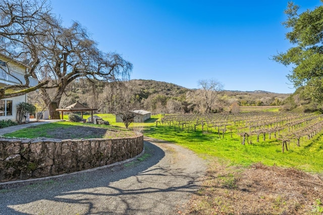 view of property's community with a gazebo, a mountain view, and a rural view