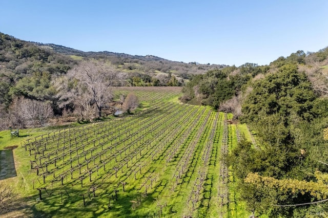 birds eye view of property with a rural view