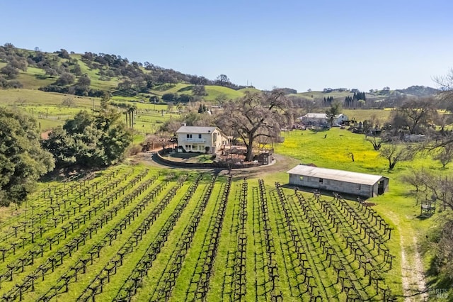 birds eye view of property featuring a rural view