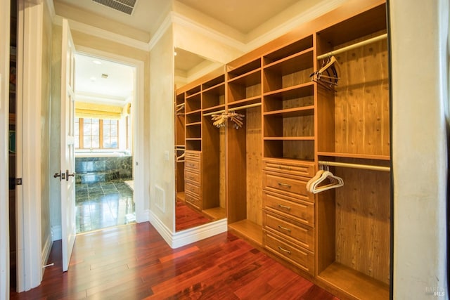 walk in closet featuring dark hardwood / wood-style floors