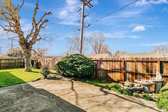 view of yard with a patio