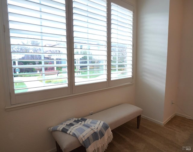 sitting room featuring carpet floors