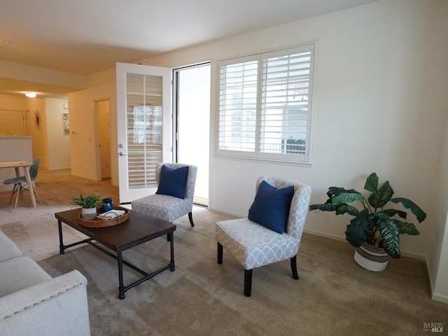 view of carpeted living room