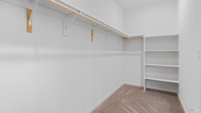 spacious closet with carpet flooring
