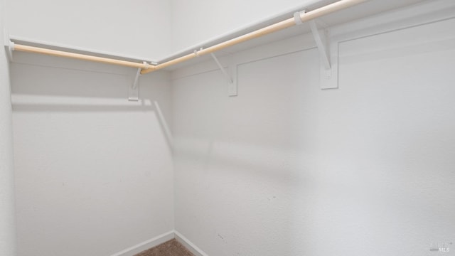 walk in closet featuring carpet floors