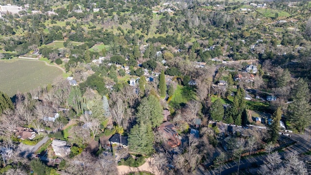109 Glass Mountain Ln, Saint Helena, CA 94574 - bird's eye view