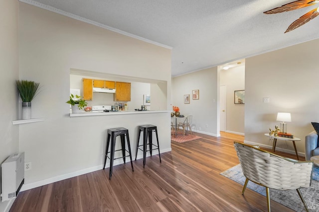 kitchen with ceiling fan, ornamental molding, wood finished floors, light countertops, and under cabinet range hood