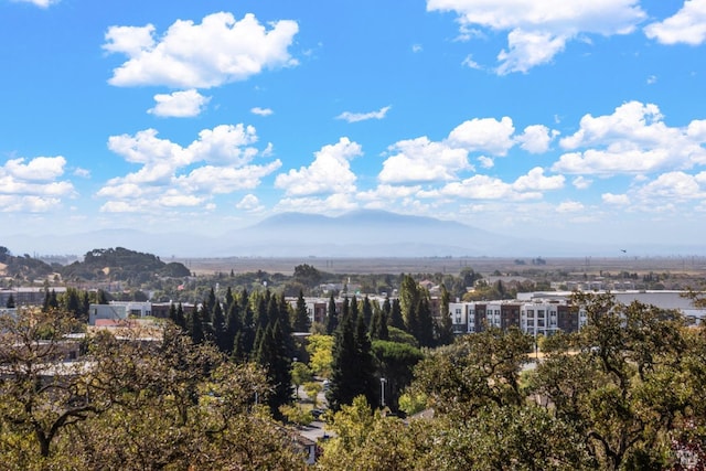 view of mountain feature