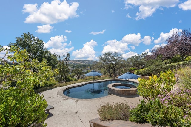 view of swimming pool featuring an in ground hot tub and a patio