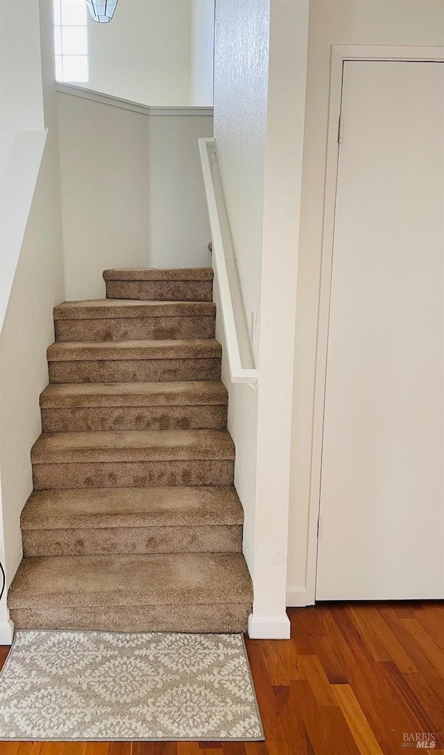 stairs featuring wood finished floors
