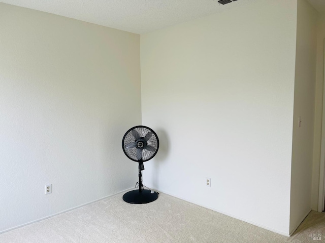 unfurnished room with light colored carpet