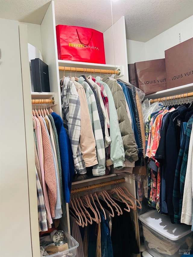 view of spacious closet