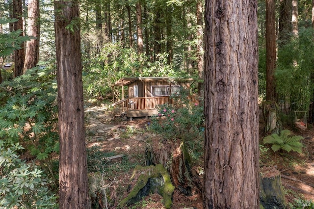 view of yard with a wooden deck