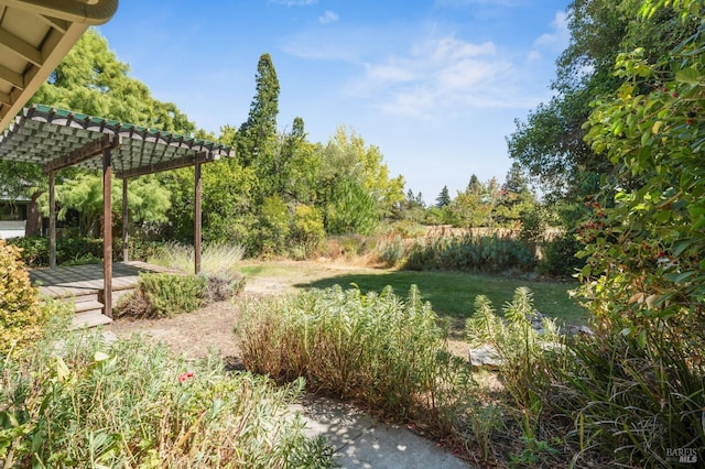 view of yard featuring a deck and a pergola