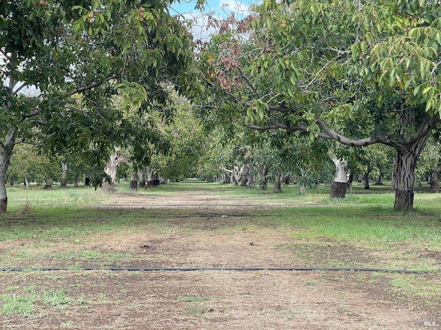9211 Boyce Rd, Winters, CA 95694 - view of yard