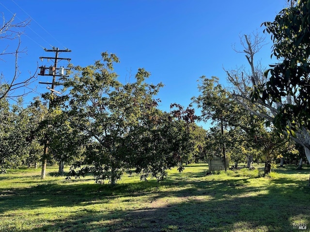 9211 Boyce Rd, Winters, CA 95694 - view of green lawn