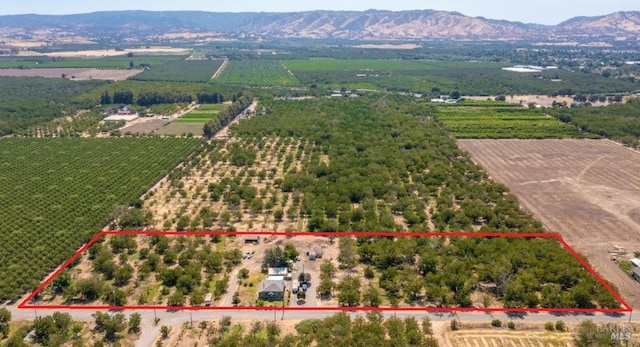 drone / aerial view with a mountain view and a rural view