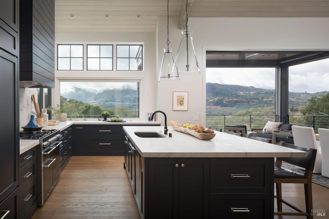 kitchen with light wood finished floors, a breakfast bar area, a sink, a mountain view, and double oven range