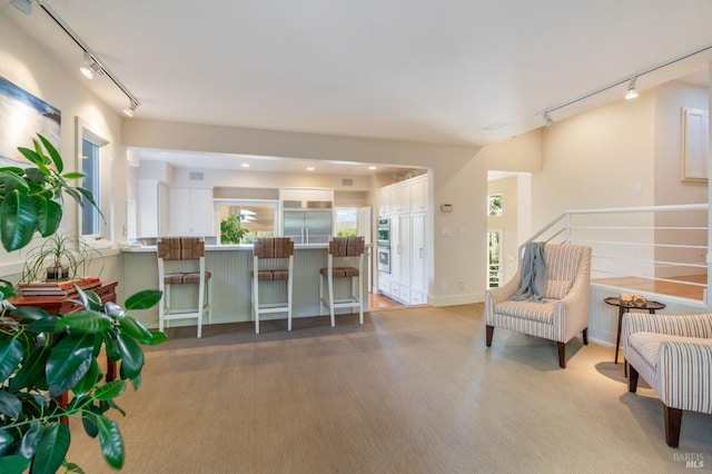 interior space with rail lighting and light colored carpet