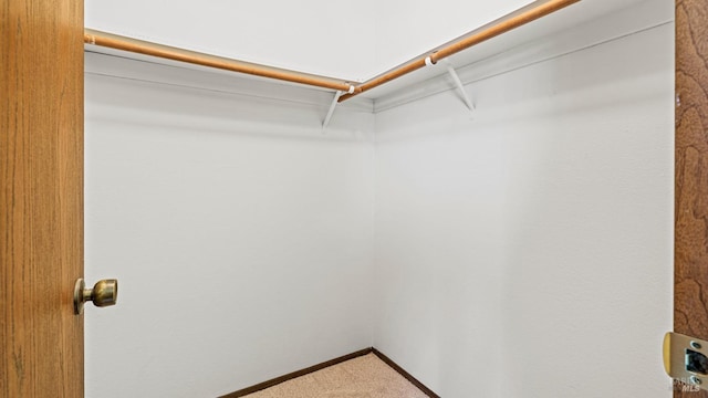 spacious closet with carpet floors